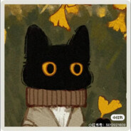 想她的第九个夏天