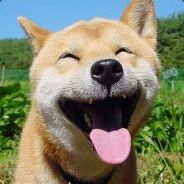 硬起来我自己都怕