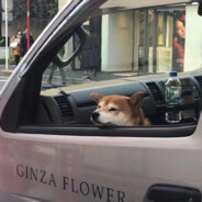 菜的睡不着 400+