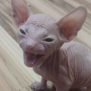 Невдупленыш