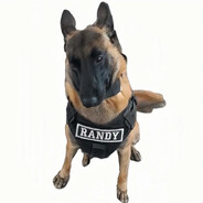 Randy