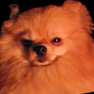 Horse with Osteohondroze