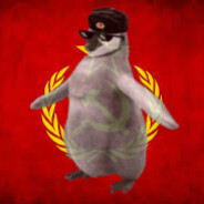 Penguin avatar