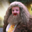 Bagon Hagrid