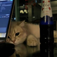 我与南风皆过客