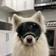 擅长白给的高木美媚