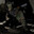 boat race CS2SKINS.GIFT