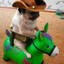 Sheriff