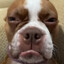 DeeDee