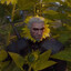 Geralt of Kurvir #271