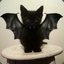 Catbat