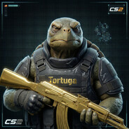 Tortuga avatar