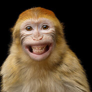Monkey Gamer