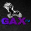 GaxTV™