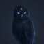 nightowl