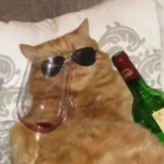 在第五个季节等你