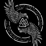 R4VEN - steam id 76561199552566258
