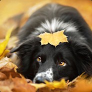 你知道我什么成分