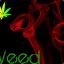 -[]-[]-WeeD