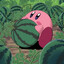 aWildWaterMelon