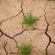 Let we burn underwater.