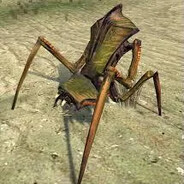 Аватар ANTLION