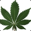 Aknabis