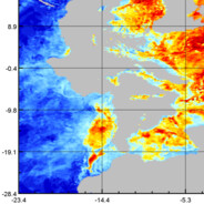麦当劳臭鼬大王