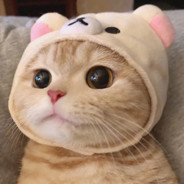 她的眼里有星星