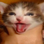 здарова пе####!