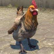 Johan