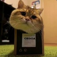 Big Avatar