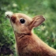 хер #NukaRust