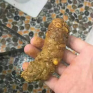 001-carib 受虐的乳头-牧瀬