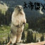 HI-QVQ