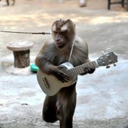 电脑玩家猢狲怪