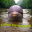 oMendigoVoador
