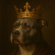 Xellow - steam id 76561199409850784