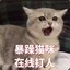 卟呤卟呤