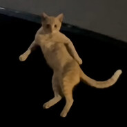 |||||||||||||||||||||||||||