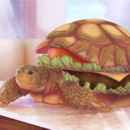 A Fat Turtle
