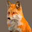 WheatyFox