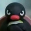 angry_penguin