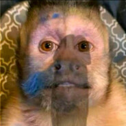 Jakis pojebany grzyb SKINS