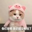 LinXI1C