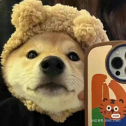 花有重开日，可否许我再少年