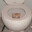 Toilet Cat