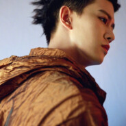 Ox-and-horse brigade