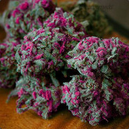 Генерал Гашишев