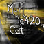MuriThe420Cat
